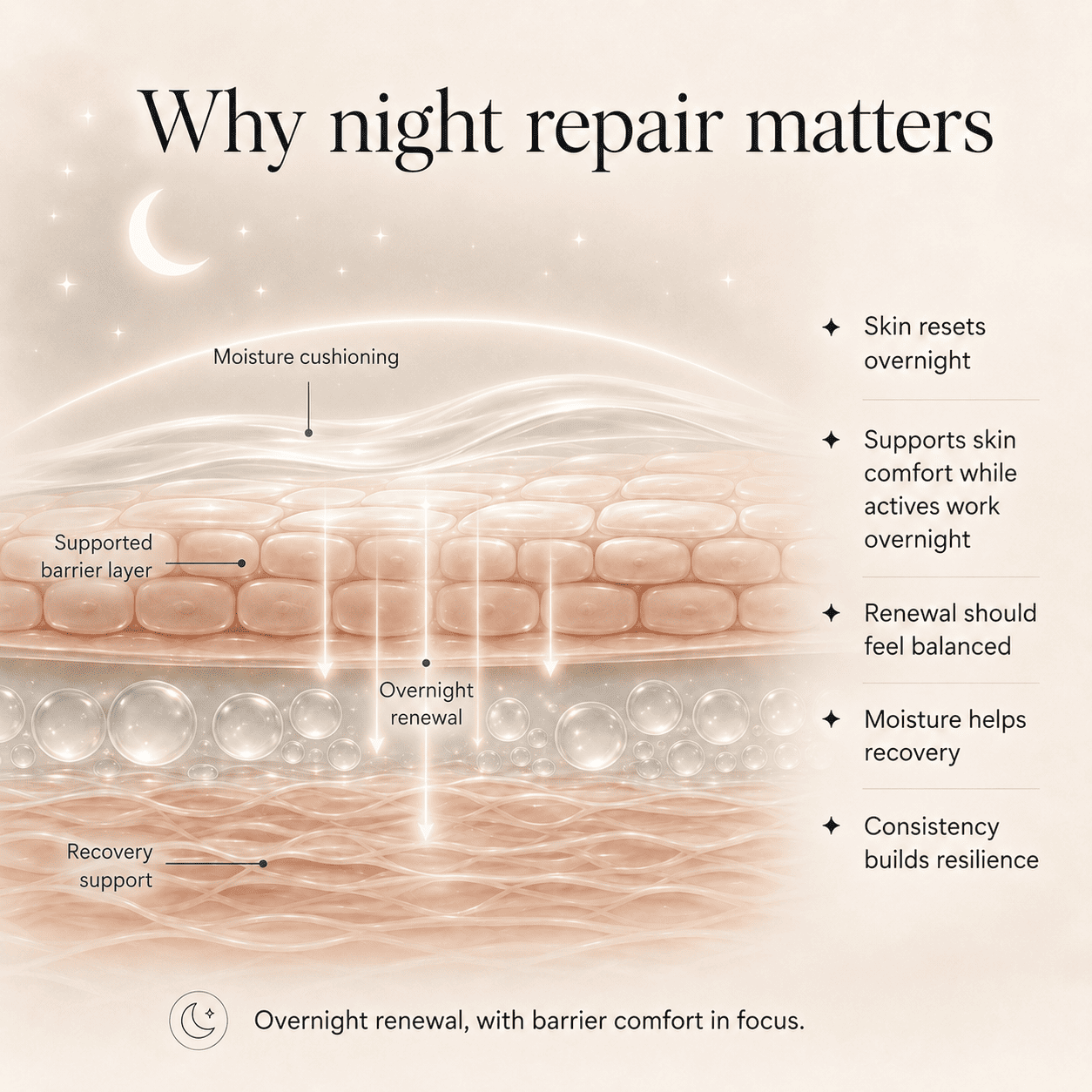 Barrier Sync Overnight Treatment Cream