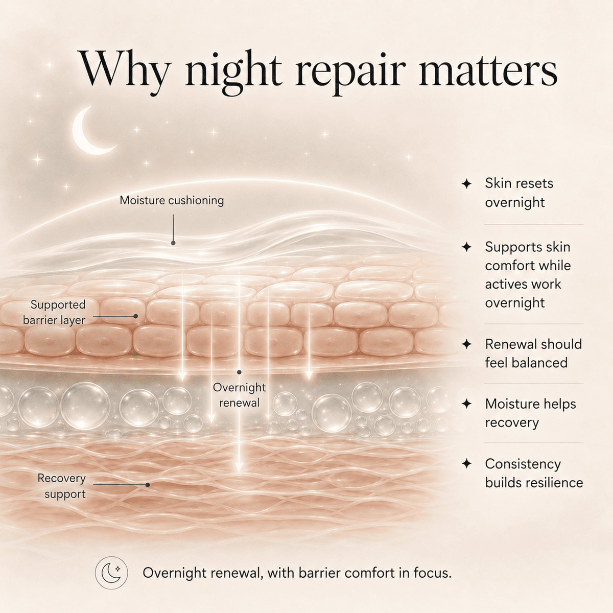 Barrier Sync Overnight Treatment Cream