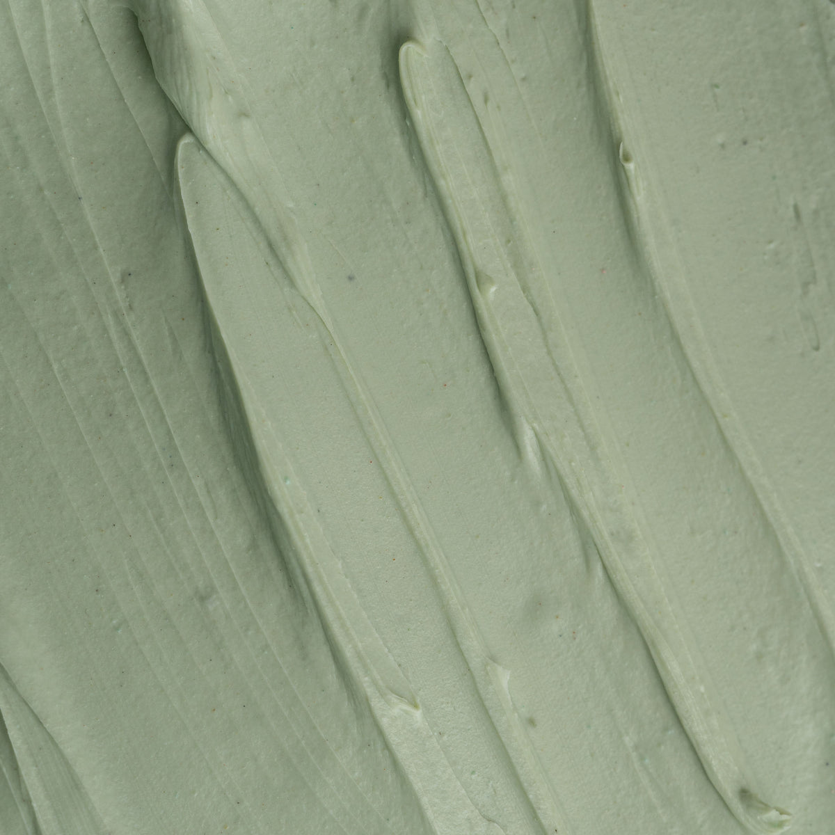 Green Tea Clay Mask (100 gms)